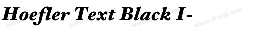 Hoefler Text Black I字体转换